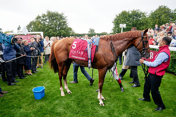 QGF2019_DominicJames-01156