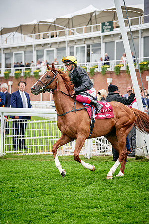 QGF2019_DominicJames-00953