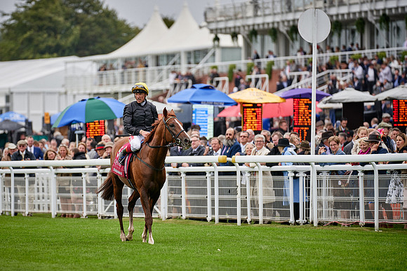QGF2019_DominicJames-01888