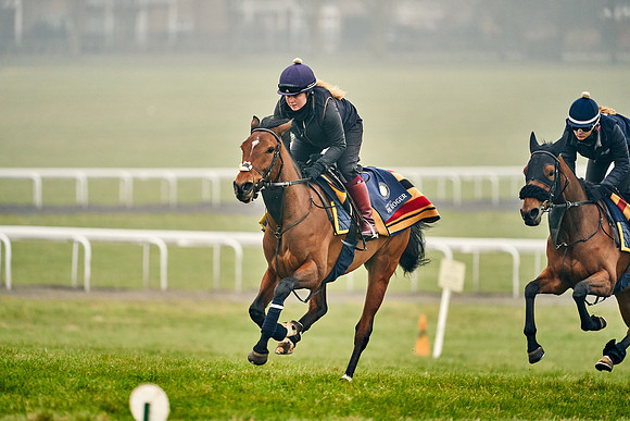 2021-03-03-Dominic-James-5867