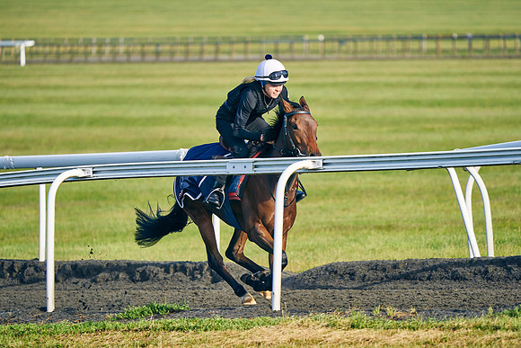 2022-06-01-Dominic-James-3055