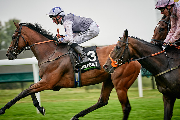 QGF2019_DominicJames-00212