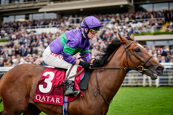 QGF2019_DominicJames-00467