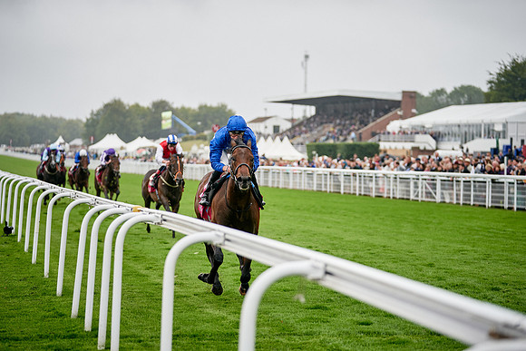 QGF2019_DominicJames-00447