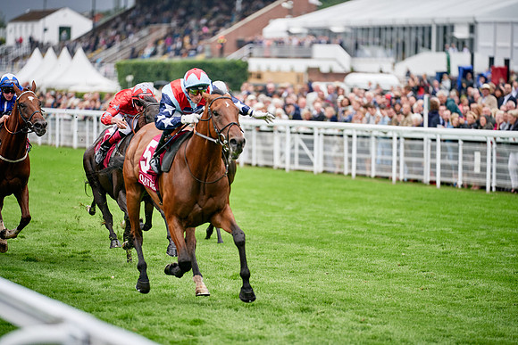 QGF2019_DominicJames-00627