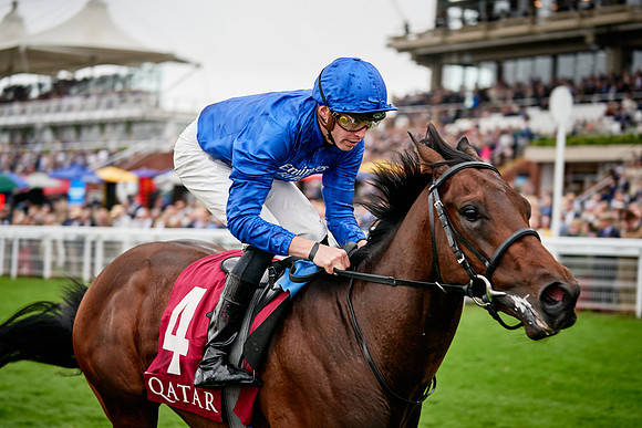 QGF2019_DominicJames-00457