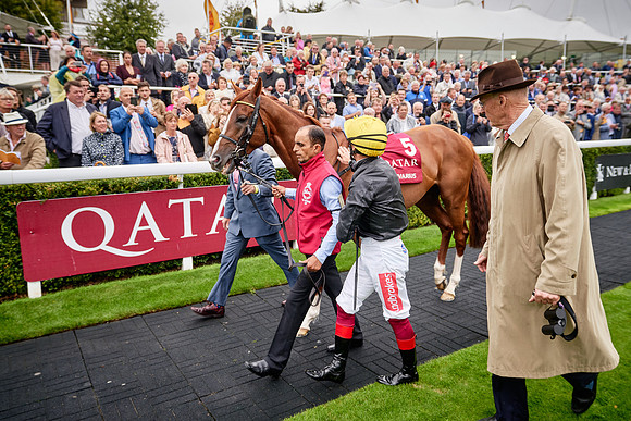 QGF2019_DominicJames-01867