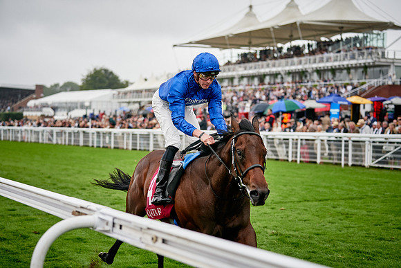 QGF2019_DominicJames-00455