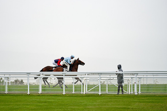 QGF2019_DominicJames-01892
