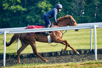 1st June 22 Warren Hill 009