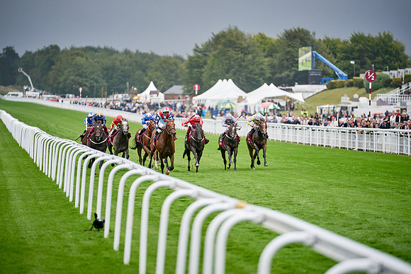 QGF2019_DominicJames-00592