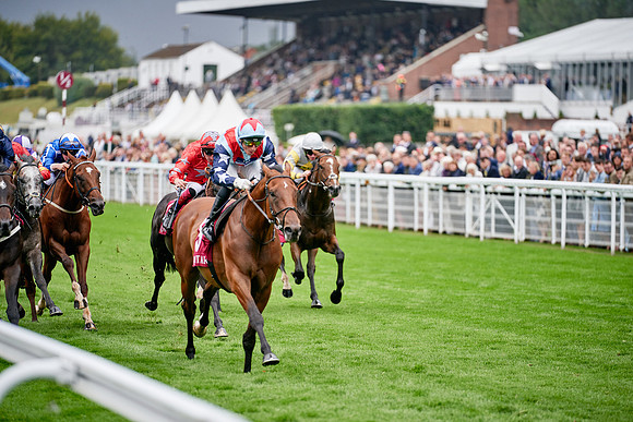 QGF2019_DominicJames-00624