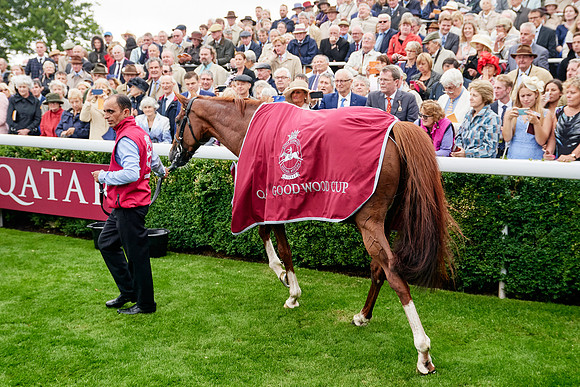 QGF2019_DominicJames-01277
