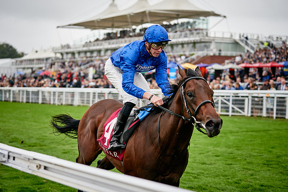 QGF2019_DominicJames-00456
