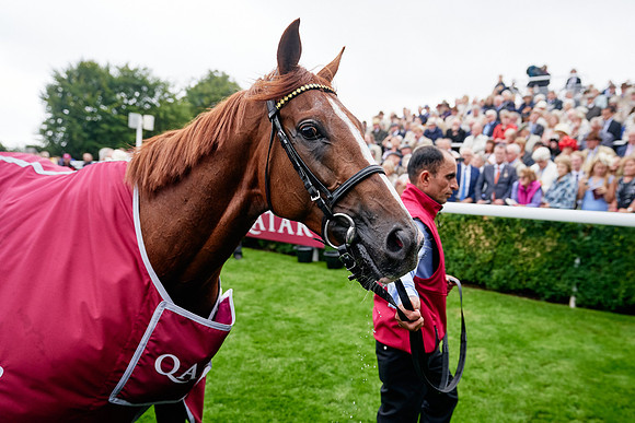 QGF2019_DominicJames-01285