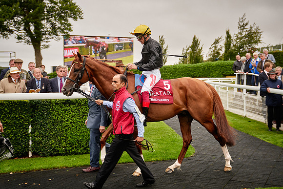 QGF2019_DominicJames-01877