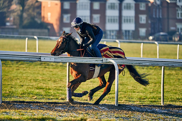 2021-02-27-Dominic-James-3853