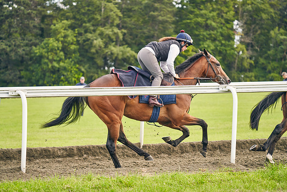 2021-06-22-Dominic-James-1551
