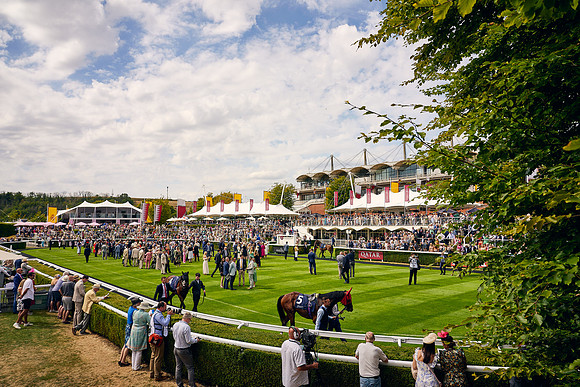 QGF2022_DominicJames_11386
