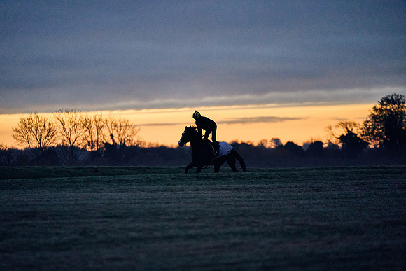 2021-11-16-Dominic-James-0346
