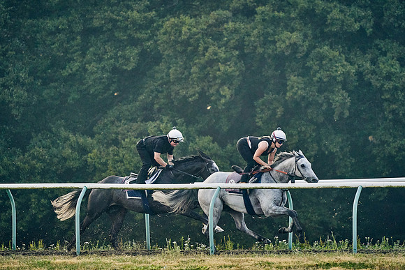 12th-August-Dominic-James-00868