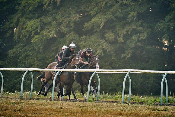 12th-August-Dominic-James-01210