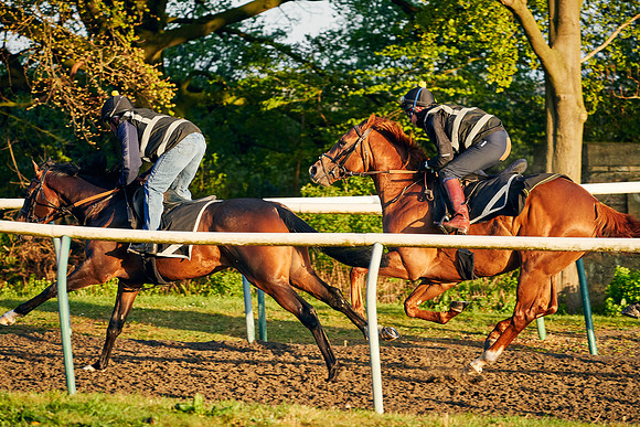 2021-05-05-Dominic-James-2461
