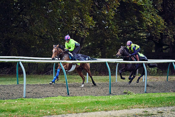 2021-10-27-Dominic-James-00251