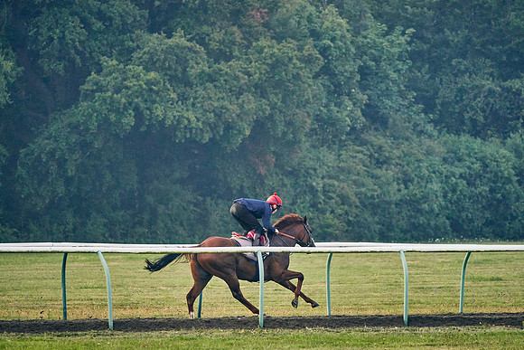 12th-August-Dominic-James-00891