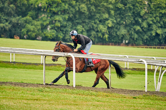2021-08-25-Dominic-James-1174