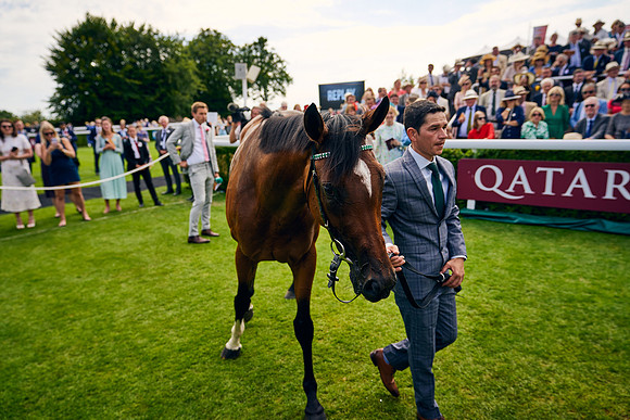 QGF2022_DominicJames_11890