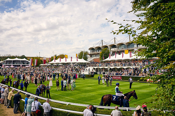 QGF2022_DominicJames_11370