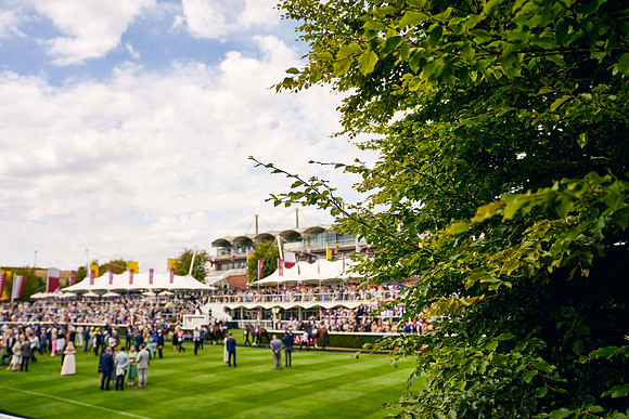 QGF2022_DominicJames_11340