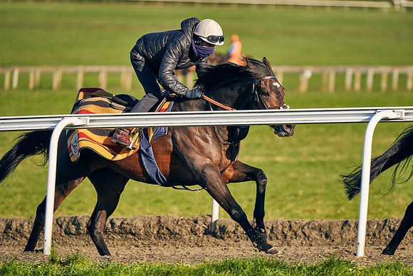 2021-04-06-Dominic-James-7647