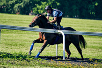 2021-06-09-Dominic-James-3937