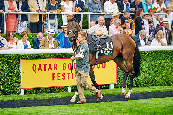QGF2021-DominicJames-0955