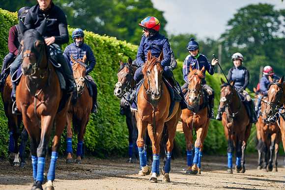 2021-05-26-Dominic-James-3911