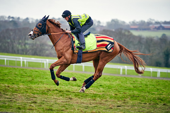 2021-02-19-Dominic-James-5975