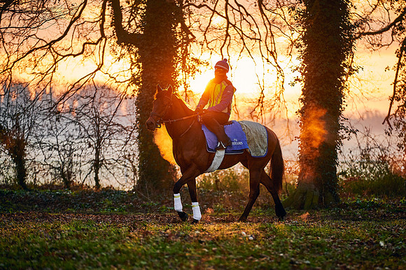 2021-02-27-Dominic-James-1332