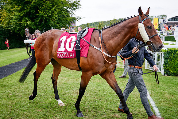 QGF2019_DominicJames-07107