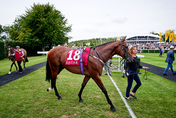 QGF2019_DominicJames-07128