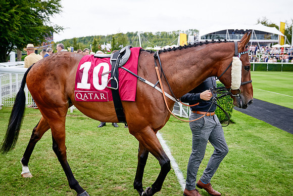 QGF2019_DominicJames-07109