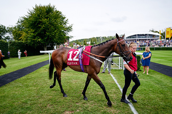 QGF2019_DominicJames-07119