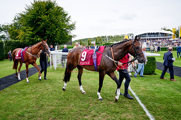 QGF2019_DominicJames-07137
