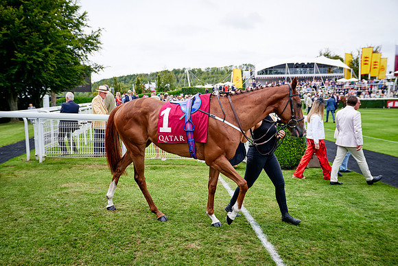 QGF2019_DominicJames-07142