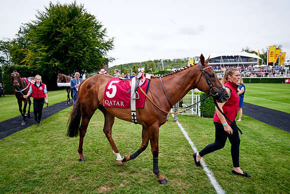 QGF2019_DominicJames-07112