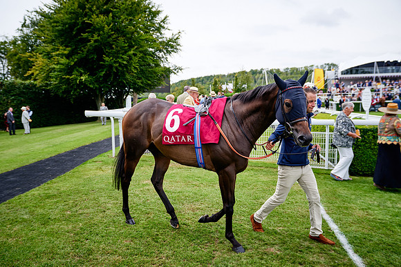 QGF2019_DominicJames-07144