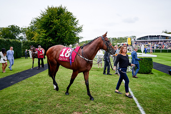 QGF2019_DominicJames-07126