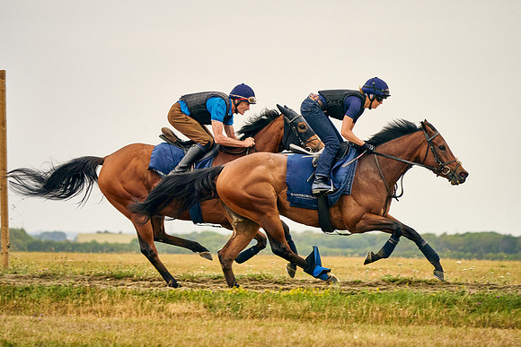 2022-07-23-DominicJames-1202