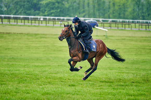 2021-05-20-Dominic-James-9440